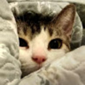 Meet your Posher, Cole